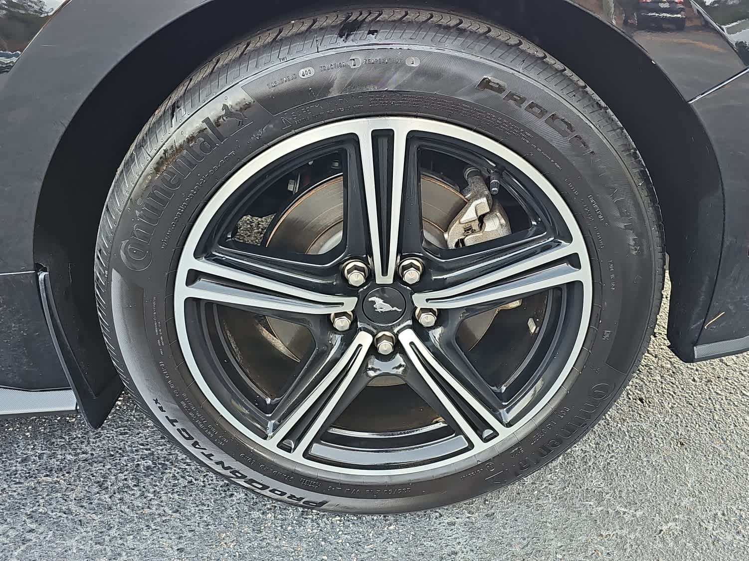 2024 Ford Mustang EcoBoost