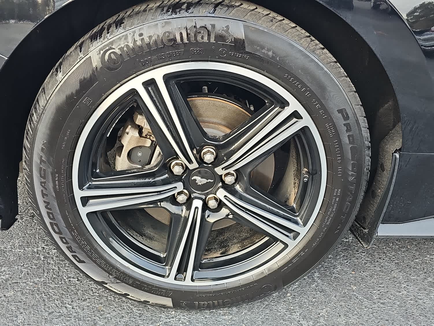 2024 Ford Mustang EcoBoost