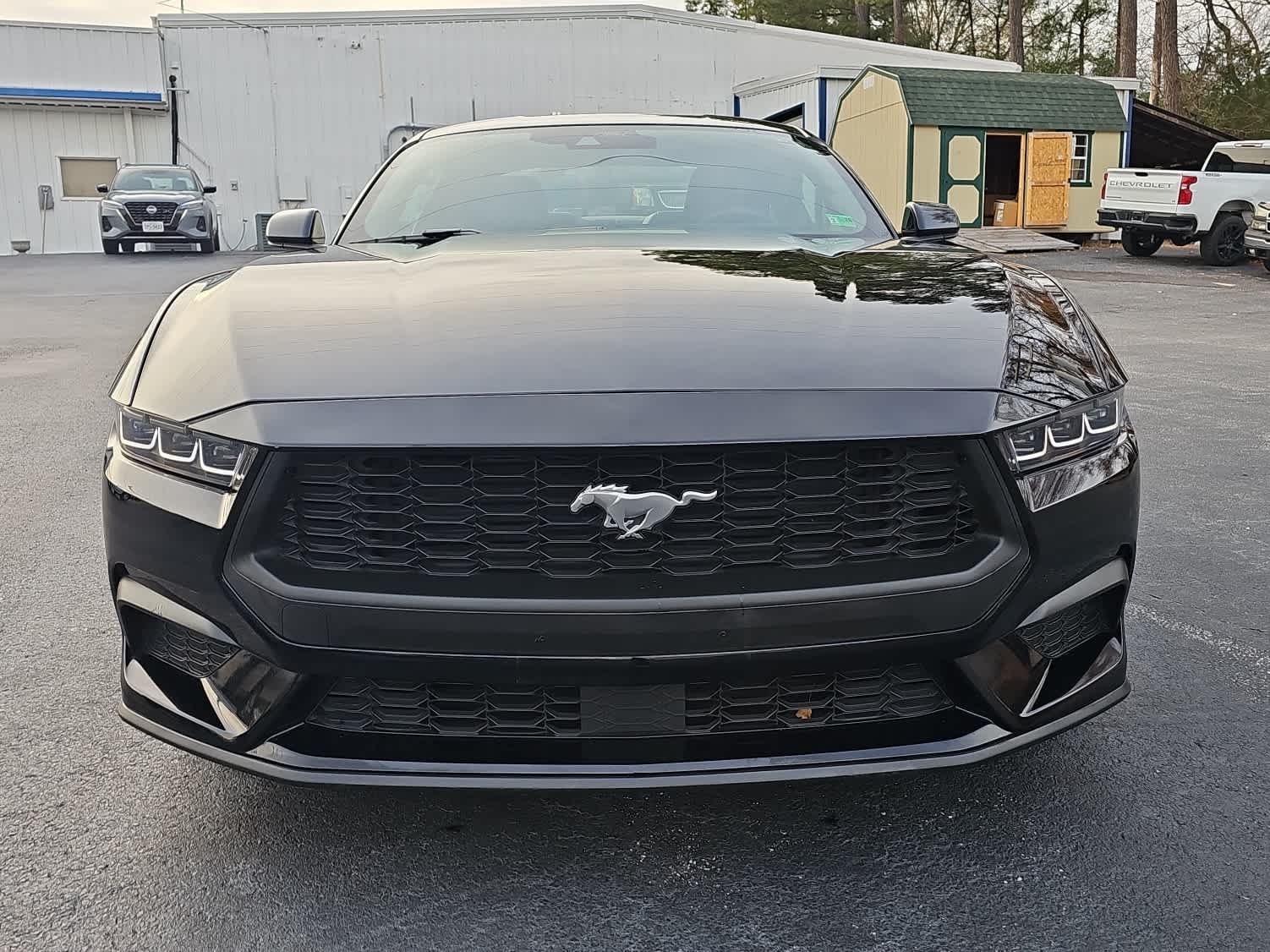 2024 Ford Mustang EcoBoost