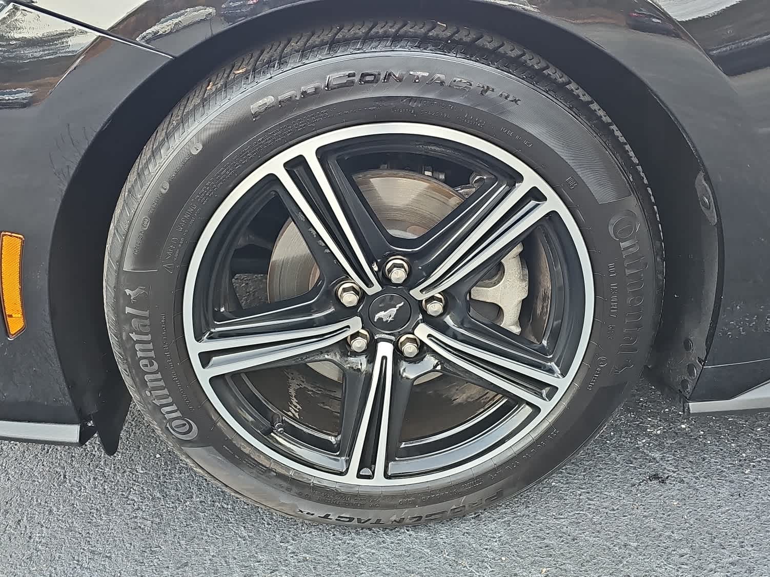 2024 Ford Mustang EcoBoost