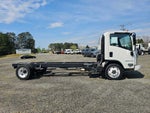 2025 Chevrolet Low Cab Forward 4500 HG Base