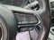 2022 Mazda Mazda CX-9 Carbon Edition